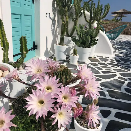 Naxos Cave Apartman *